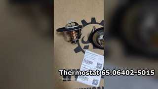 Thermostat 65.06402-5015 65.064025015 6506402-5015